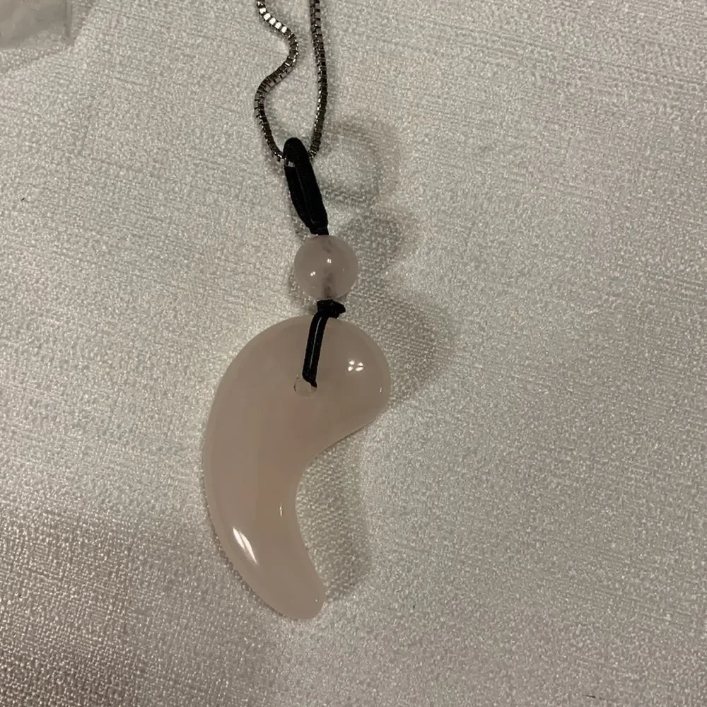 Polar Jade silvertone angel wing necklace. NWT